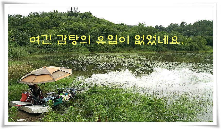 휴가와 피서한여름 낚시의 시작 (조황조행기 - 특파원조황)