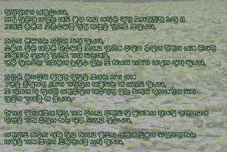 장마철 붕어낚시 청신호 (조황조행기 - 특파원조황)
