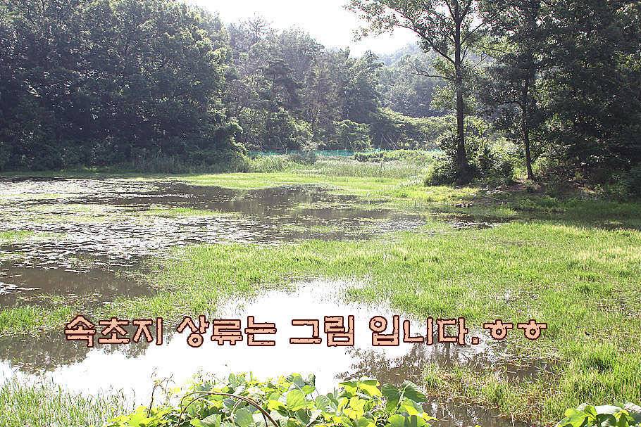 휴가와 피서한여름 낚시의 시작 (조황조행기 - 특파원조황)