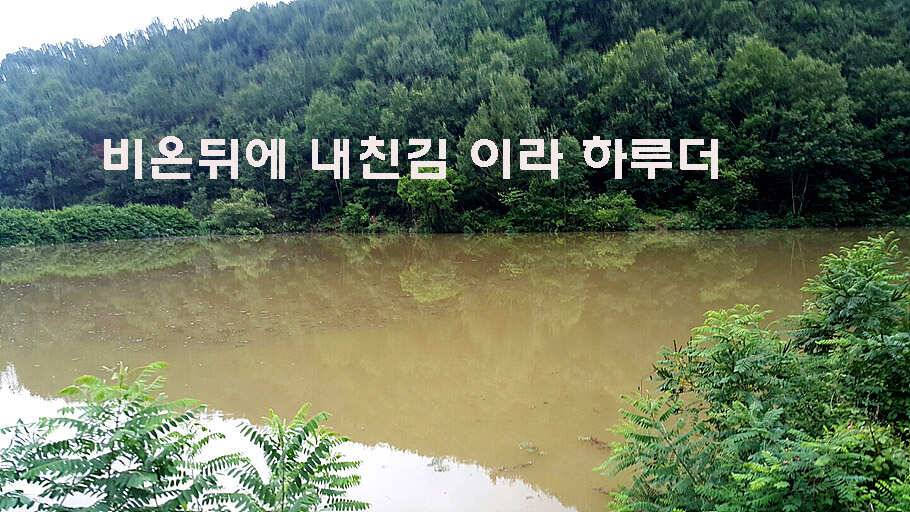 장마철 붕어낚시 청신호 (조황조행기 - 특파원조황)