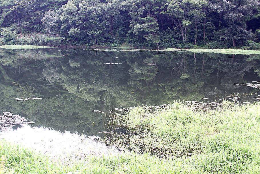 pro_johwang_294c4_092107_80137.jpg