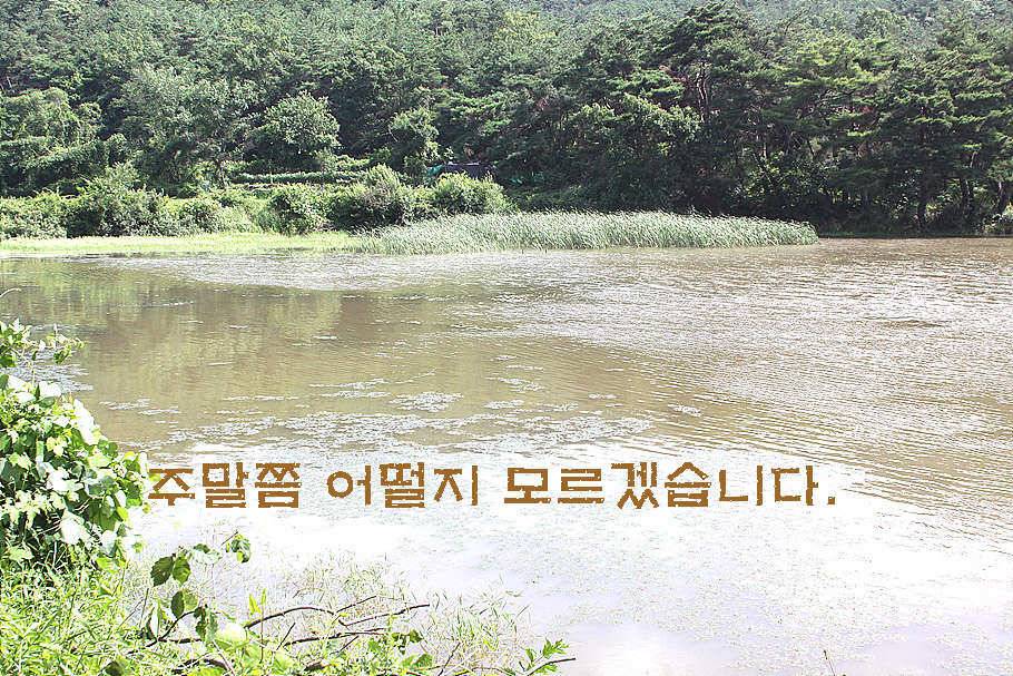 휴가와 피서한여름 낚시의 시작 (조황조행기 - 특파원조황)