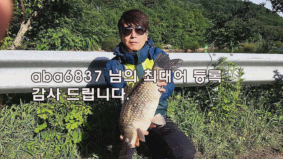 장마철 붕어낚시 청신호 (조황조행기 - 특파원조황)