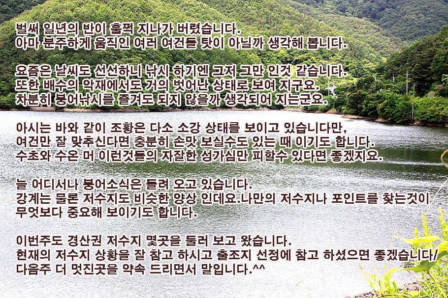 6월 중순의 경산권 소식 입니다 (조황조행기 - 특파원조황)