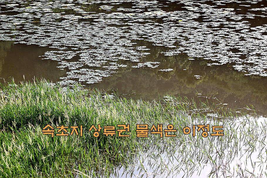 휴가와 피서한여름 낚시의 시작 (조황조행기 - 특파원조황)
