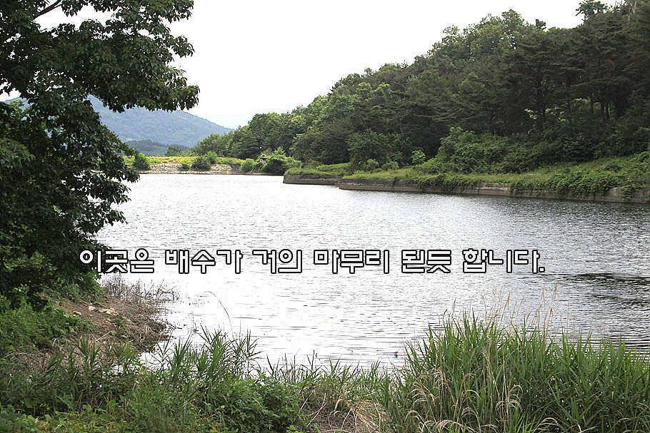 6월 중순의 경산권 소식 입니다 (조황조행기 - 특파원조황)