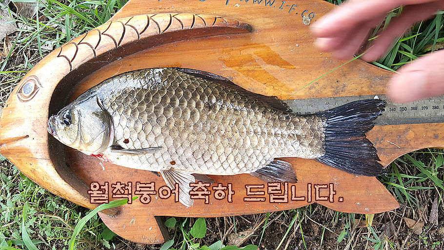 휴가와 피서한여름 낚시의 시작 (조황조행기 - 특파원조황)