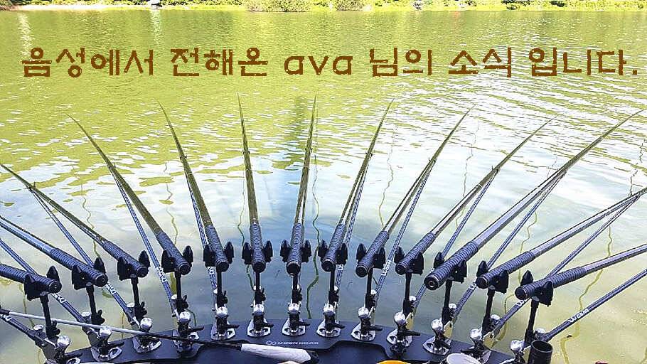 휴가와 피서한여름 낚시의 시작 (조황조행기 - 특파원조황)