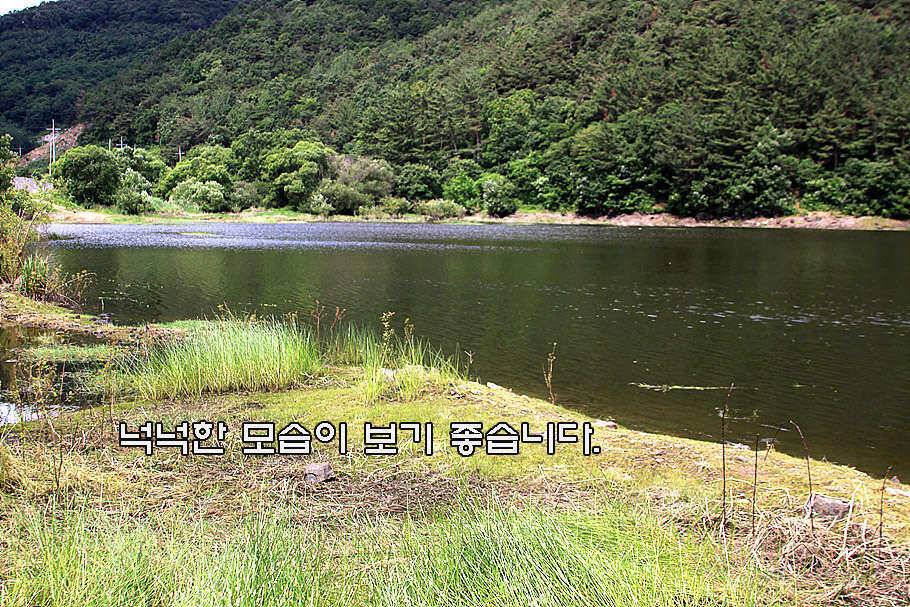6월 중순의 경산권 소식 입니다 (조황조행기 - 특파원조황)