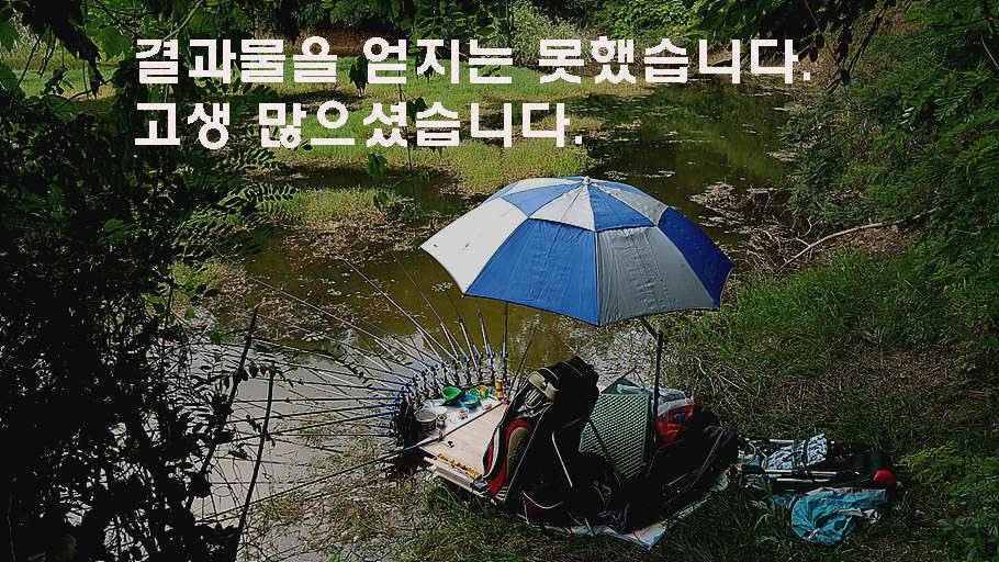 장마철 붕어낚시 청신호 (조황조행기 - 특파원조황)