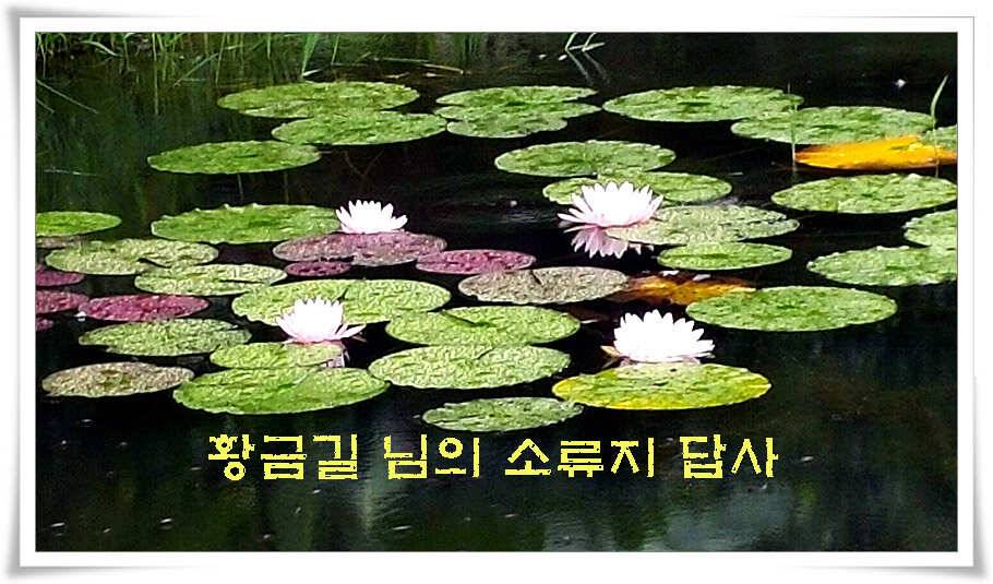 휴가와 피서한여름 낚시의 시작 (조황조행기 - 특파원조황)