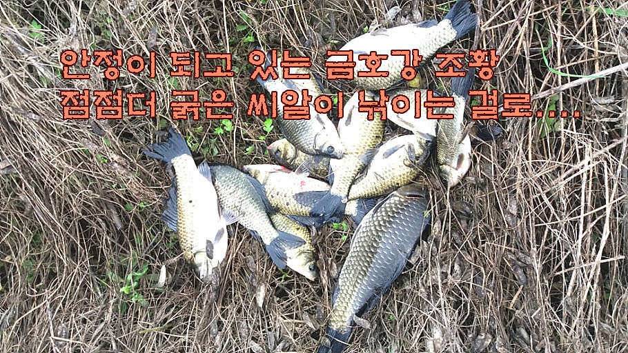휴가와 피서한여름 낚시의 시작 (조황조행기 - 특파원조황)