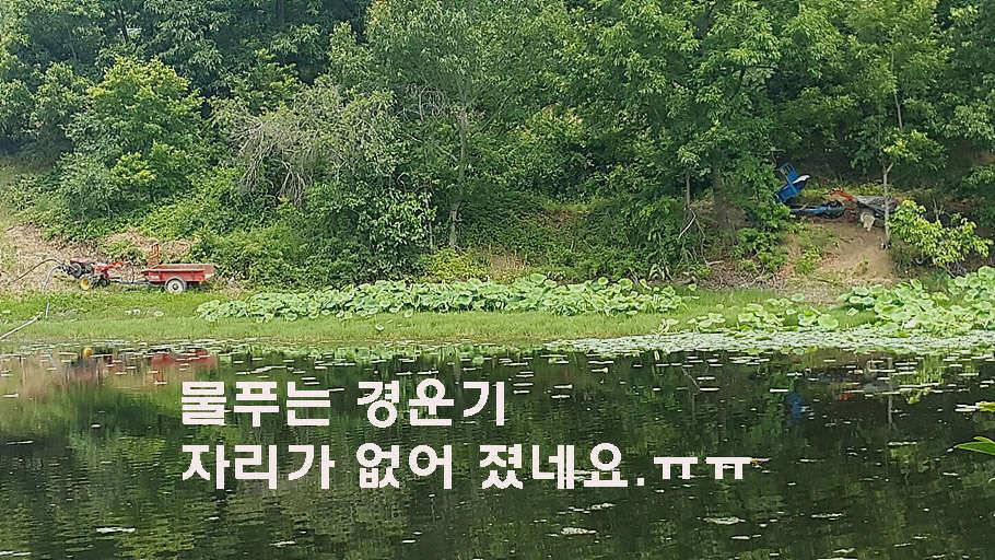장마철 붕어낚시 청신호 (조황조행기 - 특파원조황)