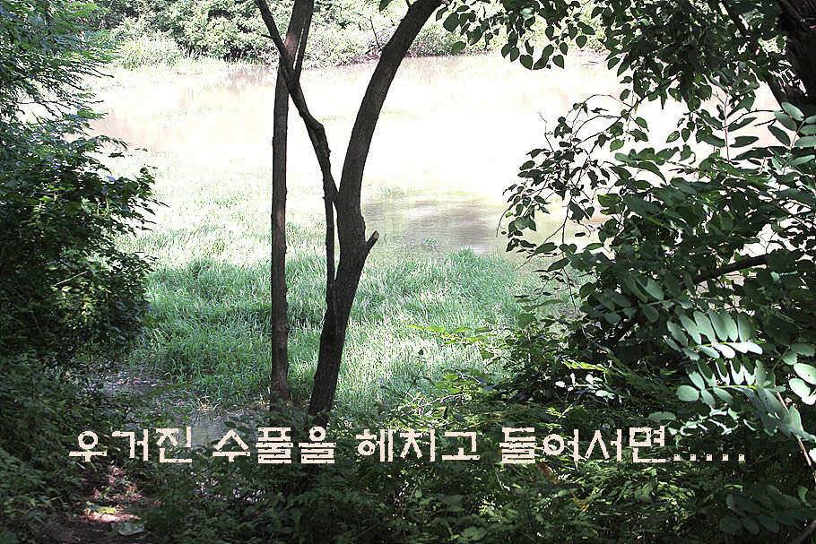 휴가와 피서한여름 낚시의 시작 (조황조행기 - 특파원조황)