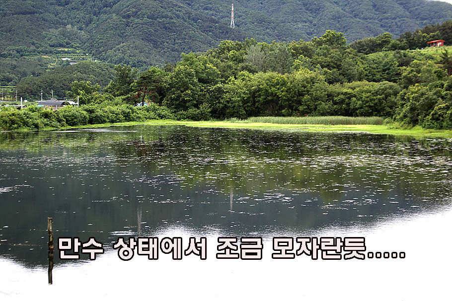 장마철 붕어낚시 청신호 (조황조행기 - 특파원조황)