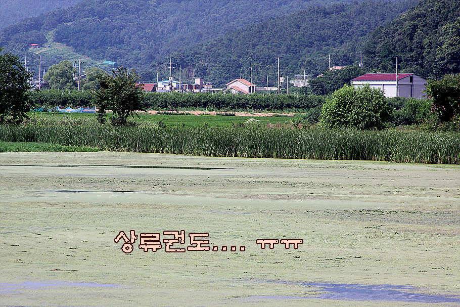 휴가와 피서한여름 낚시의 시작 (조황조행기 - 특파원조황)