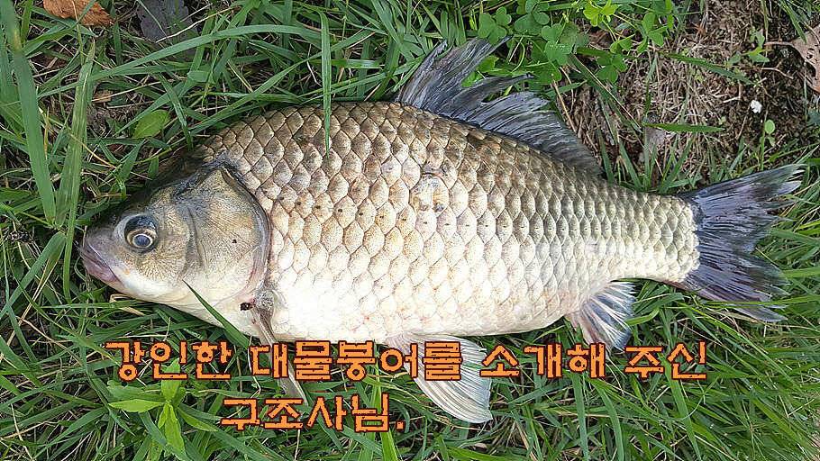 휴가와 피서한여름 낚시의 시작 (조황조행기 - 특파원조황)