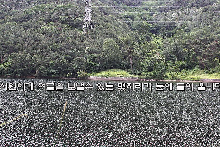 6월 중순의 경산권 소식 입니다 (조황조행기 - 특파원조황)
