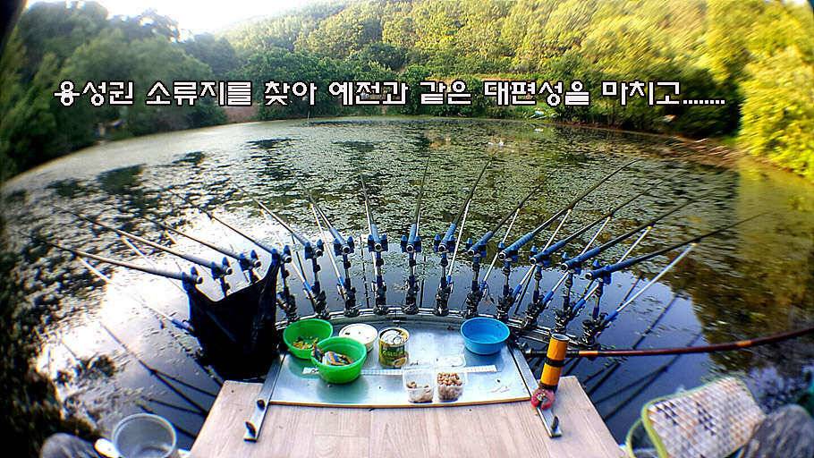6월 중순의 경산권 소식 입니다 (조황조행기 - 특파원조황)