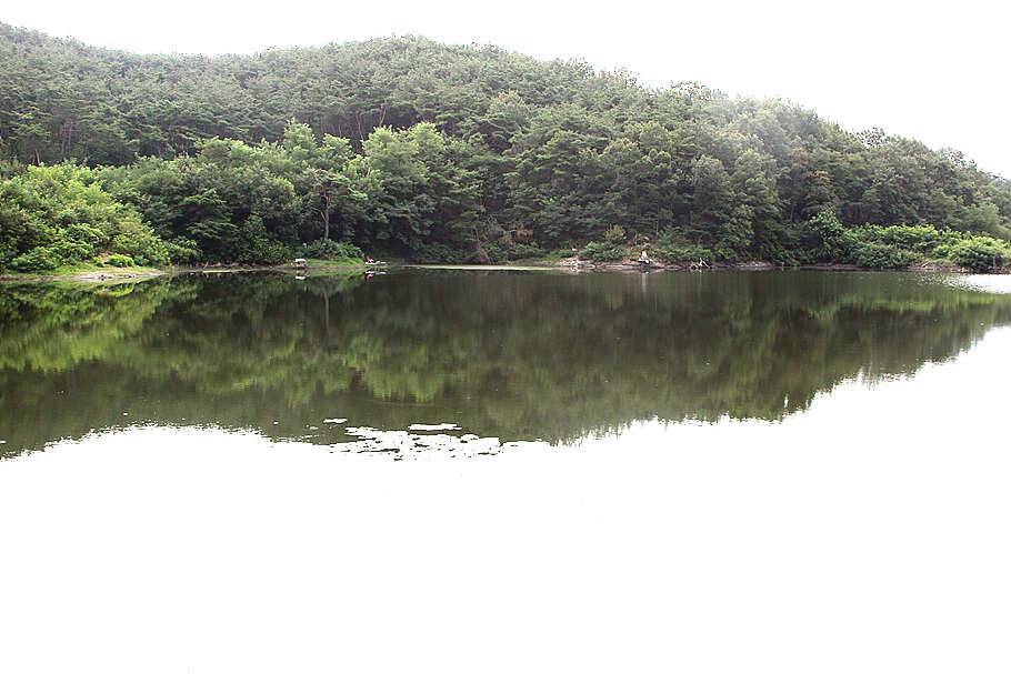 pro_johwang_9369d_095652_77792.jpg