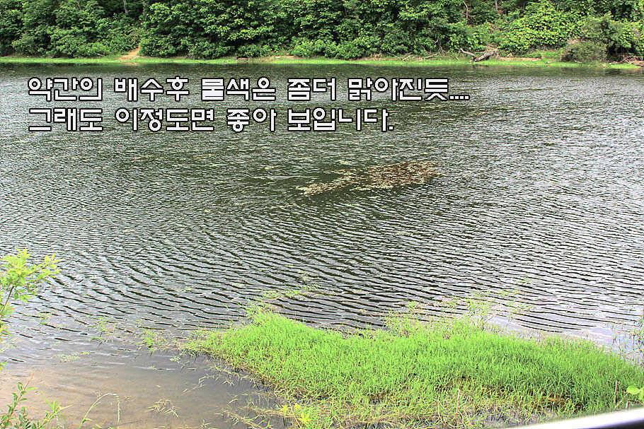6월 중순의 경산권 소식 입니다 (조황조행기 - 특파원조황)