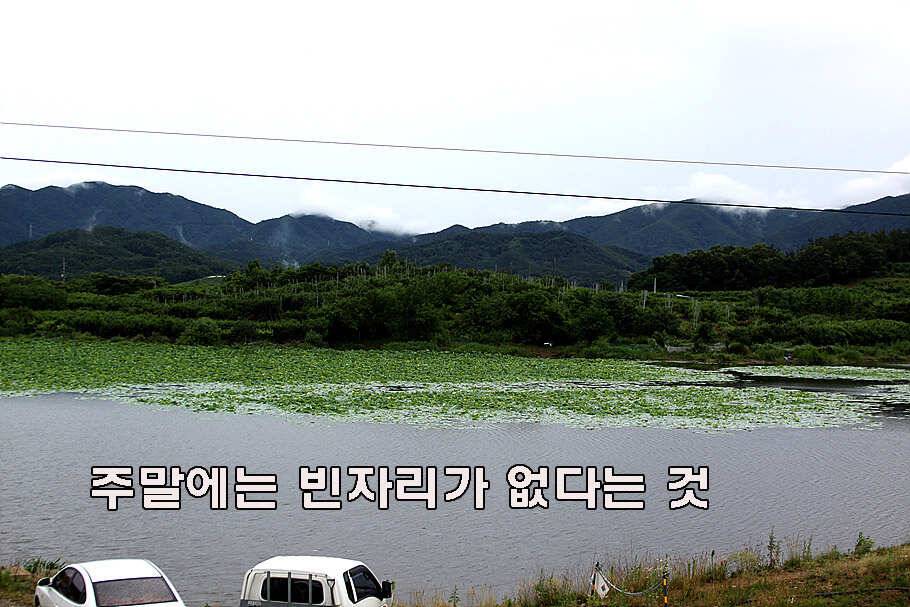 장마철 붕어낚시 청신호 (조황조행기 - 특파원조황)