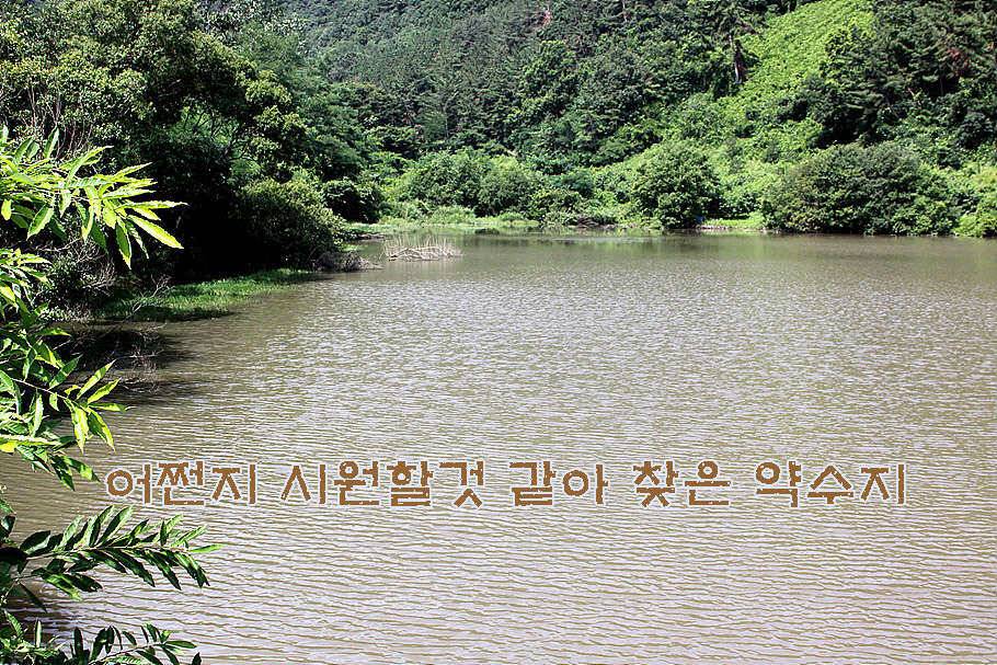 휴가와 피서한여름 낚시의 시작 (조황조행기 - 특파원조황)