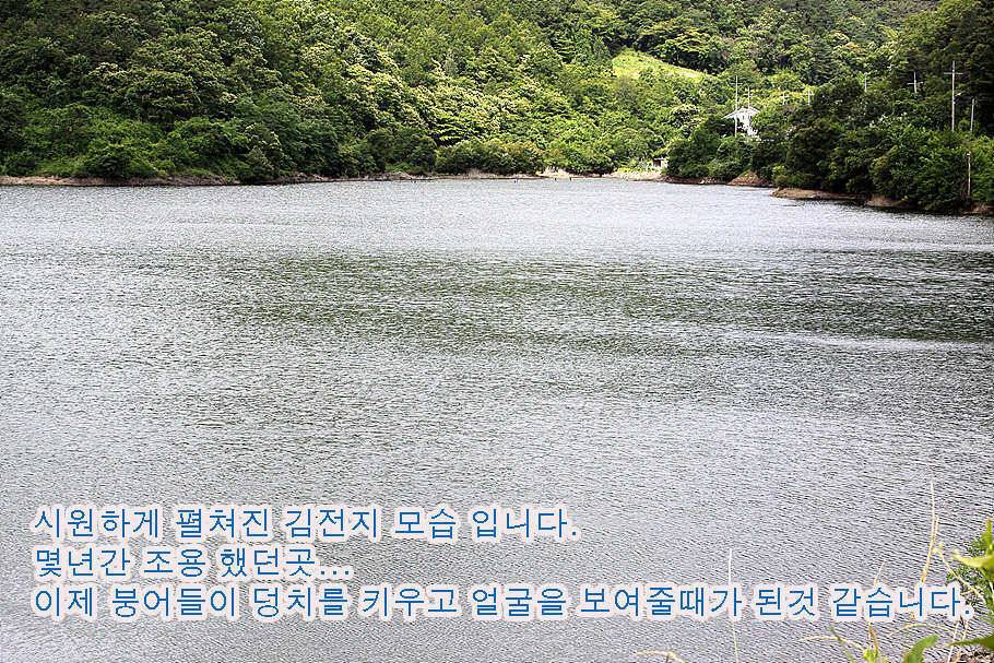 6월 중순의 경산권 소식 입니다 (조황조행기 - 특파원조황)