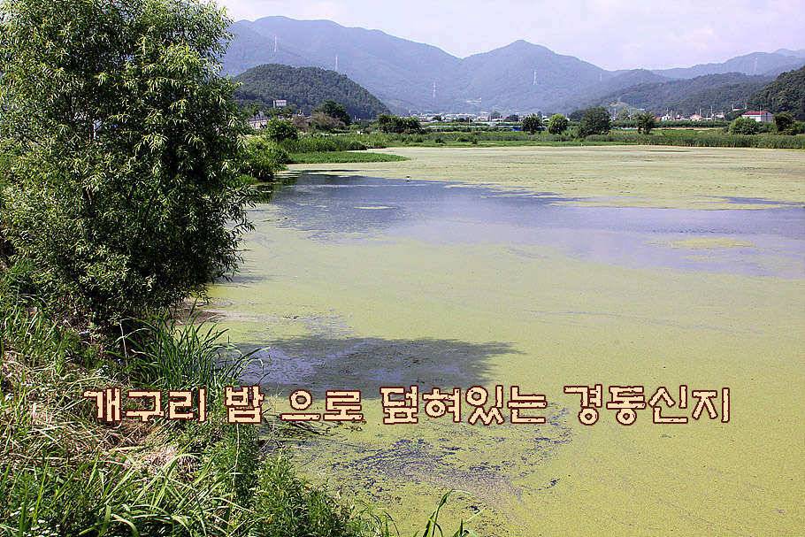 휴가와 피서한여름 낚시의 시작 (조황조행기 - 특파원조황)