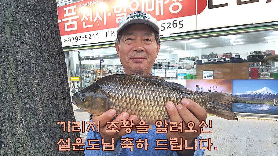 휴가와 피서한여름 낚시의 시작 (조황조행기 - 특파원조황)