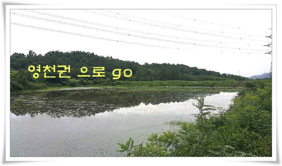 휴가와 피서한여름 낚시의 시작 (조황조행기 - 특파원조황)