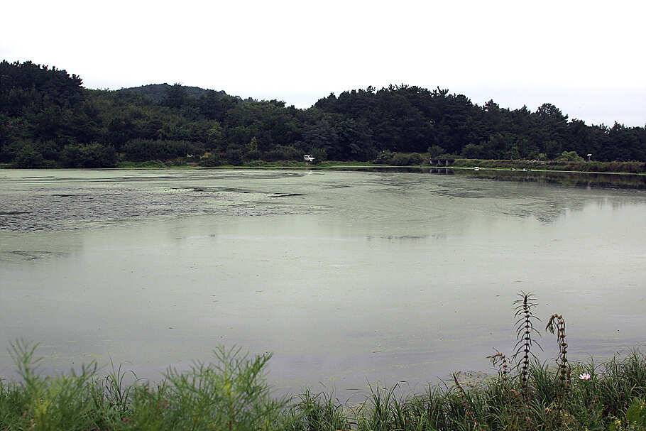 pro_johwang_a6c1c_091640_81778.jpg