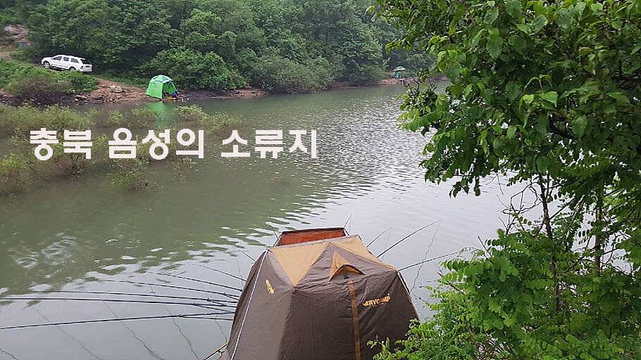 장마철 붕어낚시 청신호 (조황조행기 - 특파원조황)