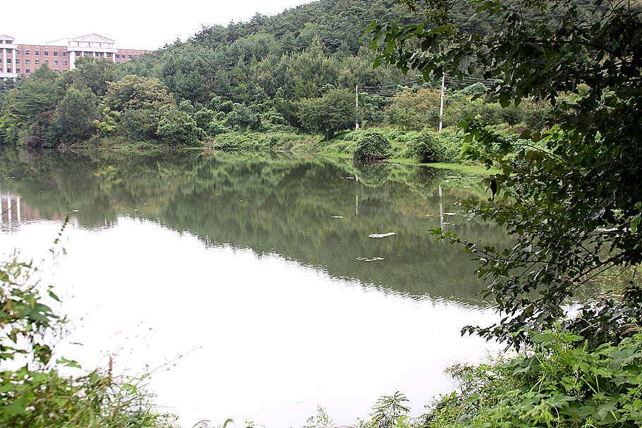 pro_johwang_c2f58_091606_35115.jpg