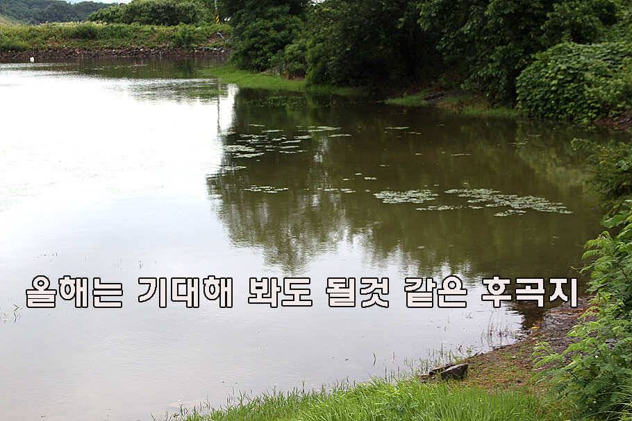 장마철 붕어낚시 청신호 (조황조행기 - 특파원조황)