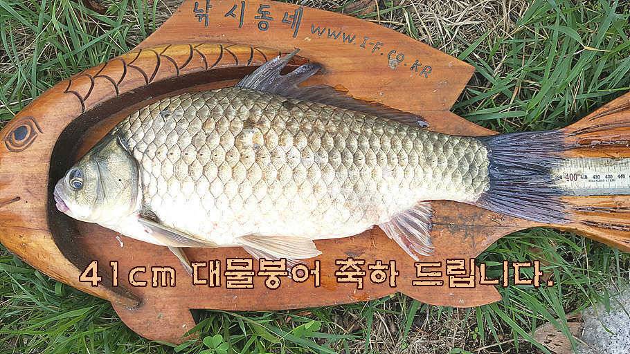 휴가와 피서한여름 낚시의 시작 (조황조행기 - 특파원조황)