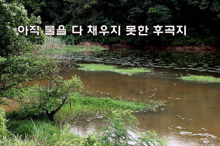 장마철 붕어낚시 청신호 (조황조행기 - 특파원조황)