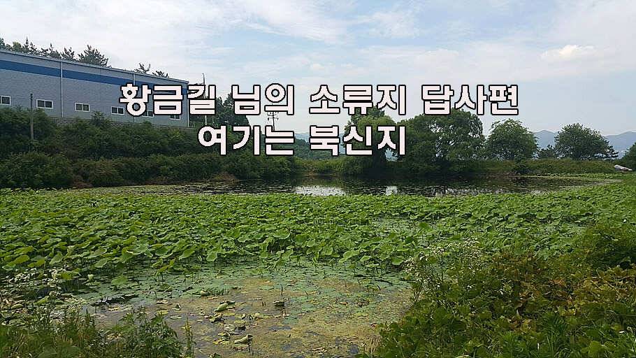 장마철 붕어낚시 청신호 (조황조행기 - 특파원조황)