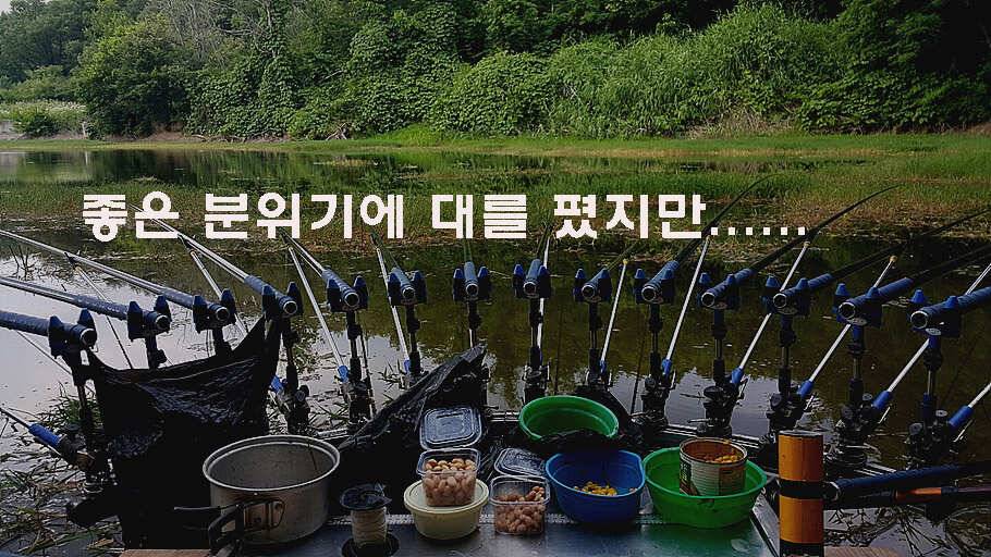 장마철 붕어낚시 청신호 (조황조행기 - 특파원조황)