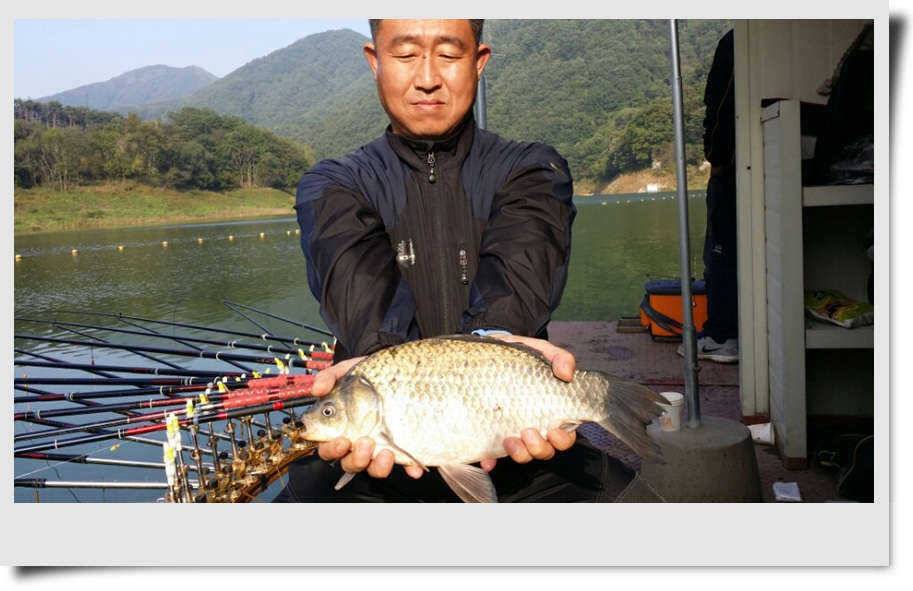 충주권 화곡지추평지 소식 (조황조행기 - 특파원조황)