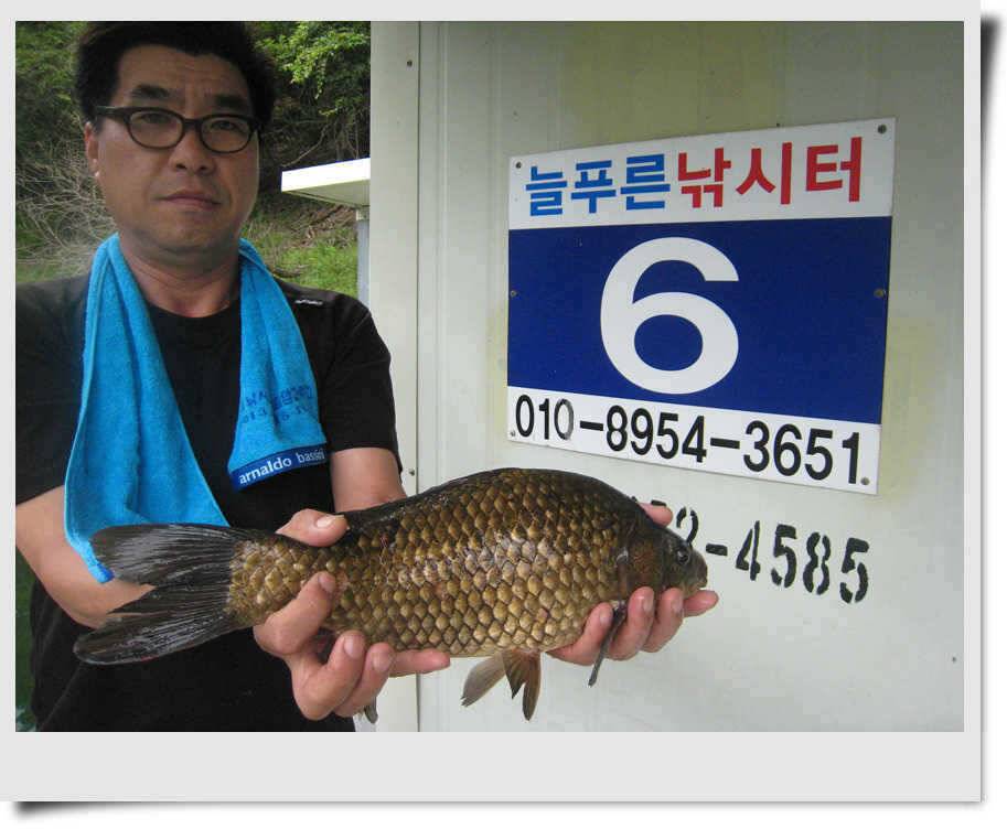 늘푸른 4짜 소식 (조황조행기 - 특파원조황)