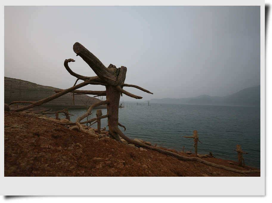 충주호 장어소식 (조황조행기 - 특파원조황)
