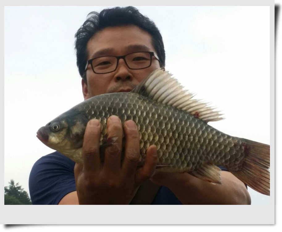 최 저수위 (조황조행기 - 특파원조황)