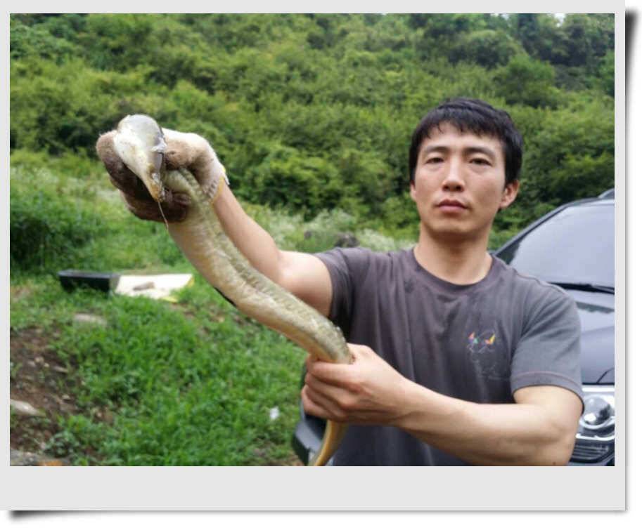 충주호 첫오름은 언제 (조황조행기 - 특파원조황)