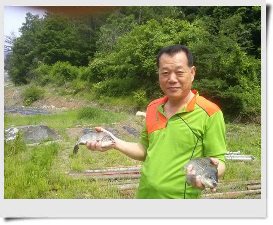 충주호 소식 (조황조행기 - 특파원조황)