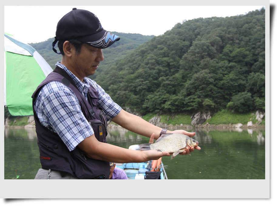 충주호 붕어와 장어 (조황조행기 - 특파원조황)