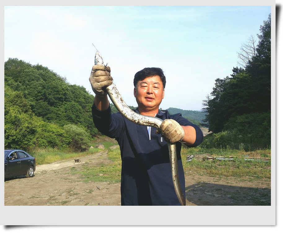 충주호 늘푸른 소식 (조황조행기 - 특파원조황)