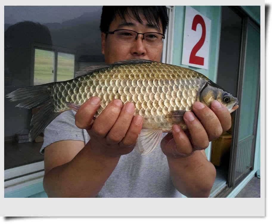충주호 주말소식 목벌늘푸른 (조황조행기 - 특파원조황)