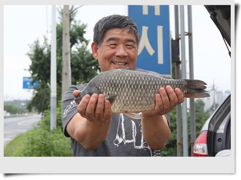 연이은 4짜 행렬 (조황조행기 - 특파원조황)