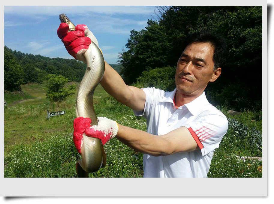 적기 호기 (조황조행기 - 특파원조황)